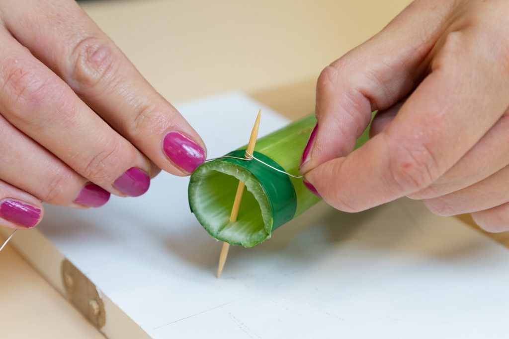 Diy hängende amaryllis fensterdeko