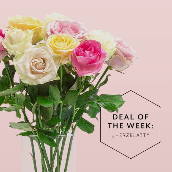 Deal_of_the_Week_KW09