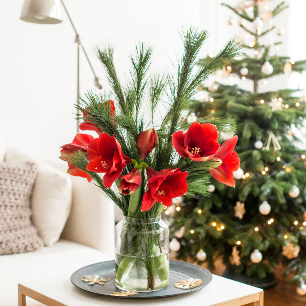 Amaryllis Bouquet