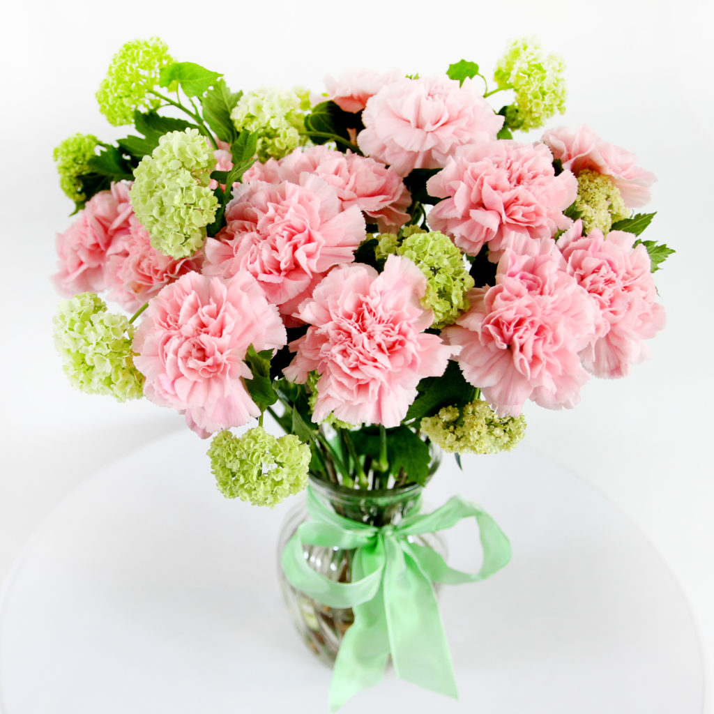 rosa-Nelken-Nelken-Dianthus-Schneeball-Viburnum