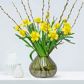 Frühlingsblumen_online_bestellen