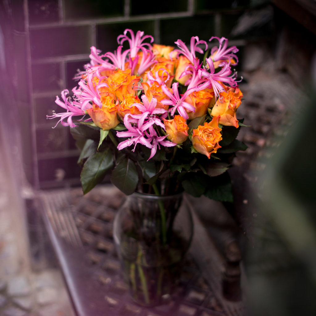 orange-Rosen-rosa-Guernseylilien-Nerinen-Nerine