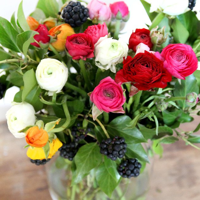 bunte-Ranunkeln-Ranunculus-asiaticus-mit-Efeu-Efeu-Hedera-helix