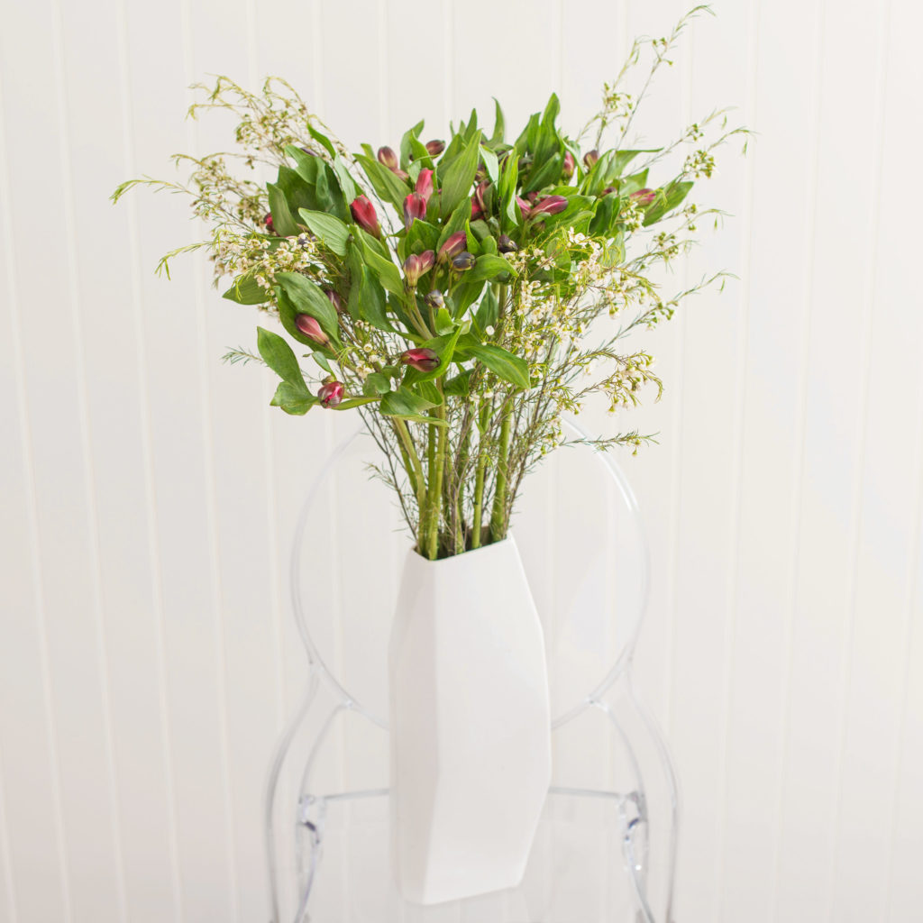 Inkalilien_Waxflower