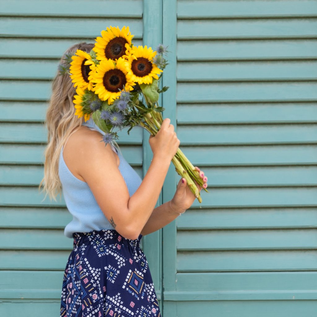 Pflegetipps Sonneblumen und Disteln