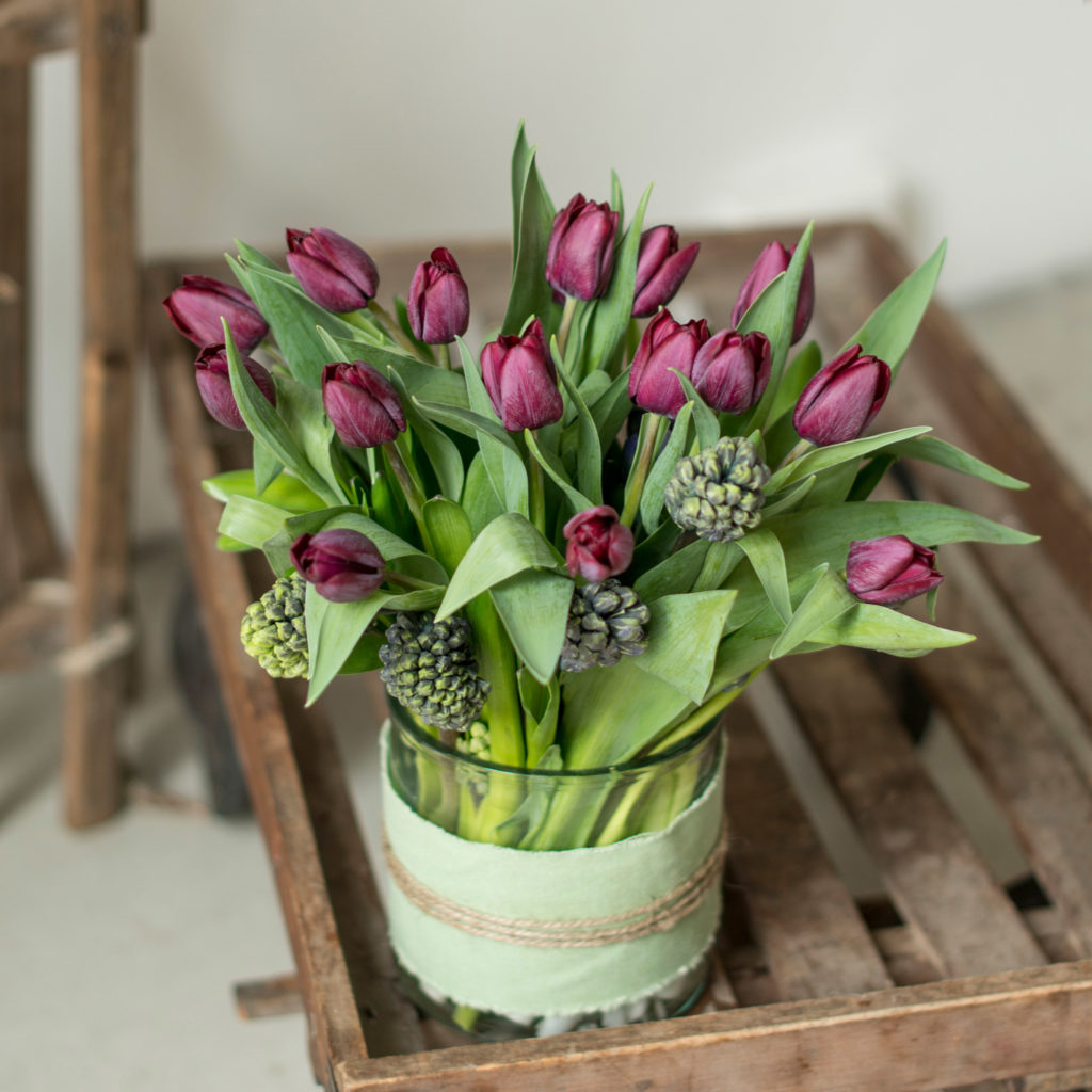 lila-Tulpen-Tulipa-Hyazinthe-Hyacinthus