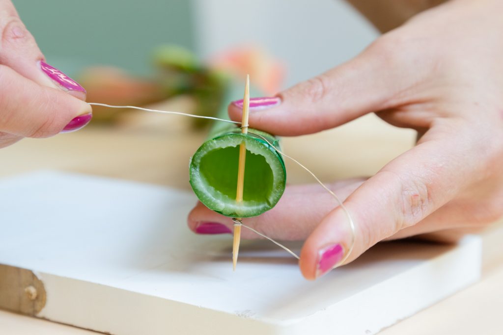 Diy hängende amaryllis fensterdeko