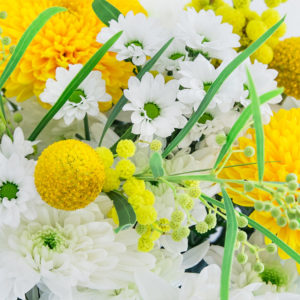 Mimosen, Craspedia, Chrysanthemen, Santini