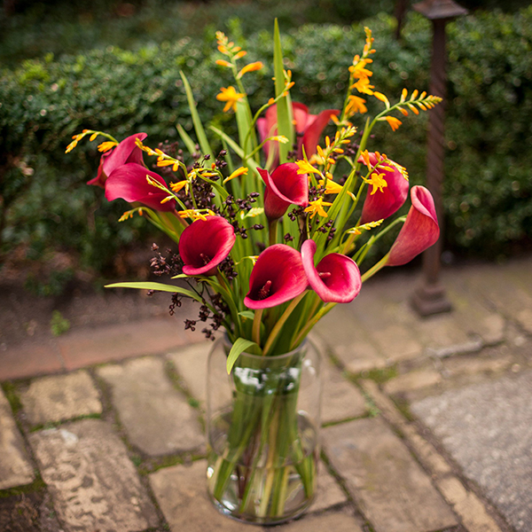 Calla-Montbretien-Bartfaden