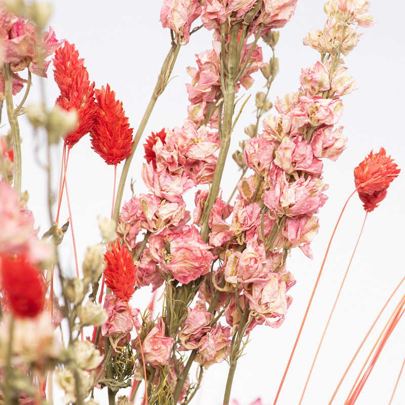 Wie pflegt man Trockenblumen