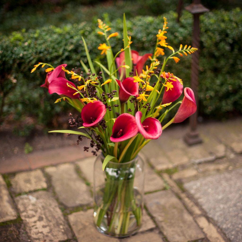 rote-Calla-Zantedeschia-Montbretien-Crocosmia