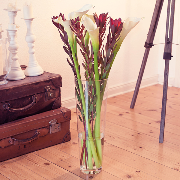 langstielige-Calla-und-Leucadendron