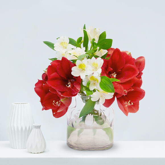 weihnachten Weihnachtsblumen-Amaryllis-Alstroemeria