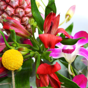 Zierananas, Orchidee, Inkalilie, Craspedia, Eucalyptus