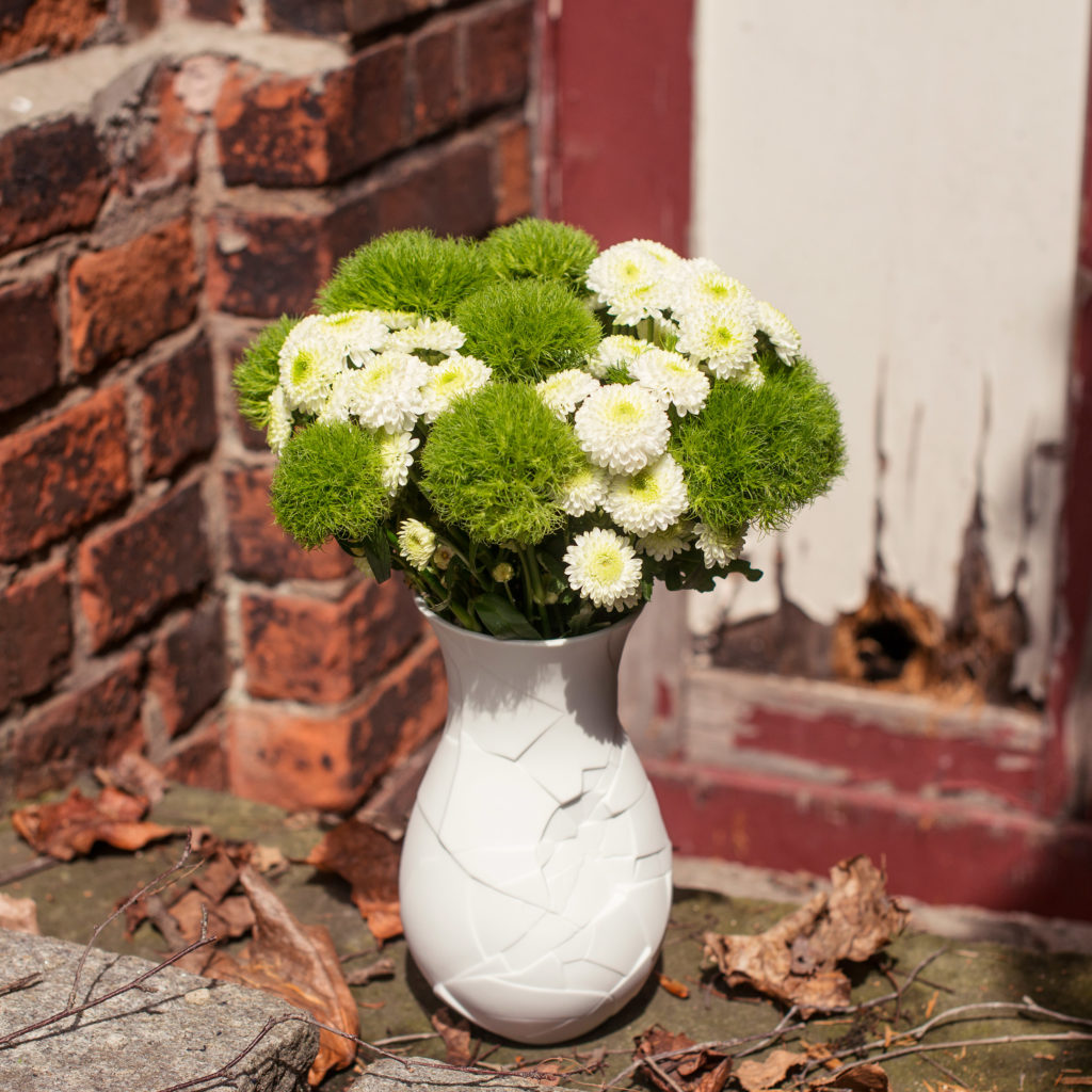 Nelken-Dianthus-Santini-Chrysanthemen