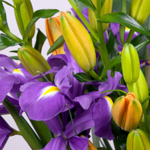 Iris, Lilien, Strelitzie