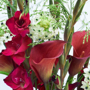 Gladiolen, Calla, Milchstern, Panicum